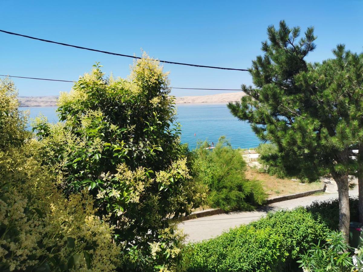 Beachfront House Ivana With Pool - Renovated 2025 Cesarica Kültér fotó